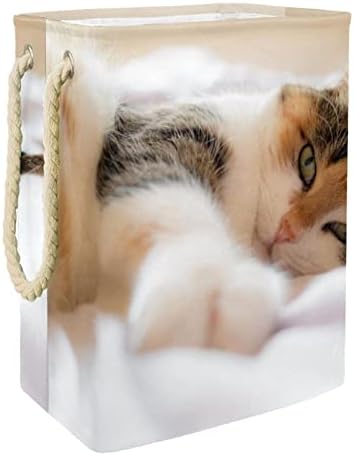 חתול דפוס גדול כביסת עמיד למים מתקפל בגדי סל סל בגדי צעצוע ארגונית, בית תפאורה לחדר שינה אמבטיה
