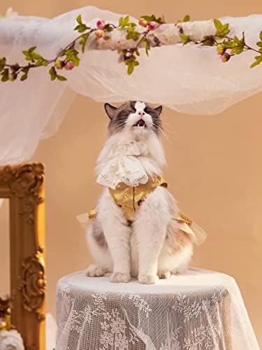 Qwinee Bow Decor שמלות כלבים, שמלת חתול נסיכה מתוקה חצאית גור, שמלת טוטו עוגת רשת כלב, בגדי חיות מחמד