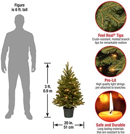 חברת העצים הלאומית 'Feel Lit Lit Lit Lit Alltificial, עץ חג המולד לכניסות כוללים אורות LED לפני הטרום