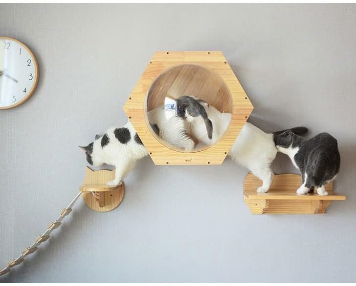 וולנוטה חתול צעצוע חתול גשר סולם טיפוס מסגרת חתול עץ בית עץ חתלתול קפיצות פלטפורמה עשה זאת בעצמך לחיות