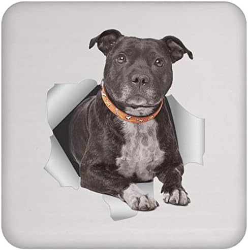 מצחיק Staffordshire Bull Terrier Brown Brindle חג המולד 2023 רכבת מתנות לגברים חובבי כלבים נשים