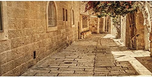 תמונה 20 על 10 רגל ירושלים ישן צר רחוב רקע ישן ירושלים אבן רקע אביב פרחי שמש רקע לצילום רקע עתיק אבן