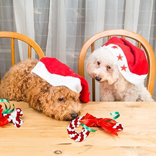 חיית מחמד מתאימה לחיים גרב חג המולד של כלב חמוד עם קישוטים רקומים ו -4 בונוס לחופשת חבל קלוע צעצועים