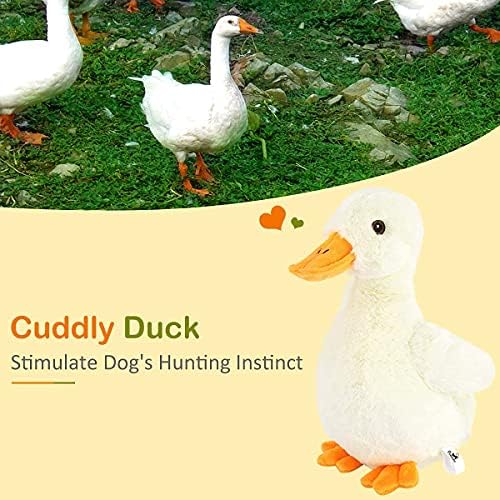 תרמיל Pawaboo לחיות מחמד L & Squeak Plush Plush כלבים, סופר רך קצר קטיפה אמן ממולא בצורת ברווז צעצועים,