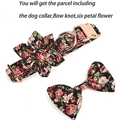 צווארון כלבים צווארון כלבים פרחוני לילדה כלב צווארוני חיות מחמד נוחים רכים עם אבזם בטיחות פרחים ניתנים