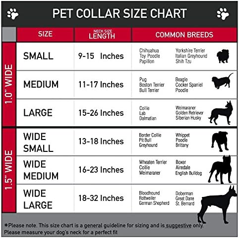 כלב צווארון חגורת בטיחות אבזם כוכבים פסים ציור 16 כדי 23 סנטימטרים 1.5 אינץ רחב