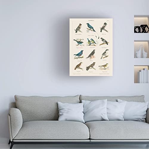אמנות סימן מסחרי אמנות 'תרשים ציפורים II' אמנות בד מאת פורטפוליו אפל פראי 24x32