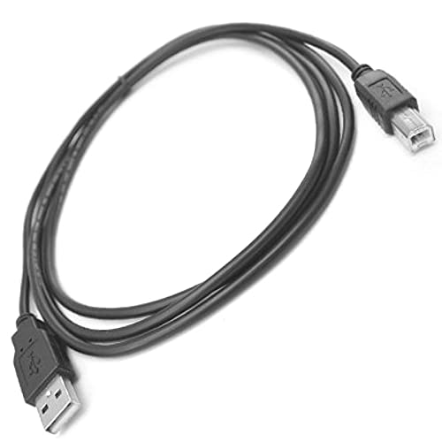 CORPCO USB 2.0 כבל כבלים מדפסת A-B 6 '6 FT תואם למדפסות CANON, HP, Epson ו- Brother