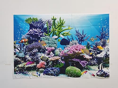 בינקו 7 על 5 רגל קיץ מתחת למים עולם תמונה רקע מתחת לים אקווריום אלמוגים טרופי דגים כחול אוקיינוס רקע