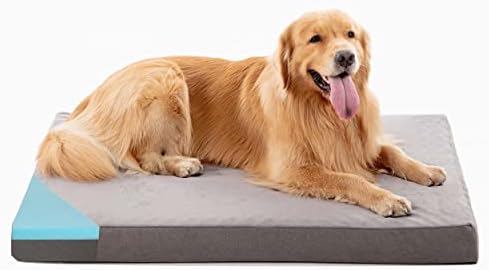 מיטת כלבים אורטופדית של פטורי לכלבים גדולים במיוחד, מיטת כלבים מקצף זיכרון לארגז עם קצף ג ' ל קירור,