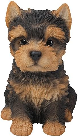 כלי מתנה של פסיפיק מקסים מקסים יורקשייר טרייר גור יורקי פסלון אספנות דמות כלב מדהים שרף צבוע ביד 6.5