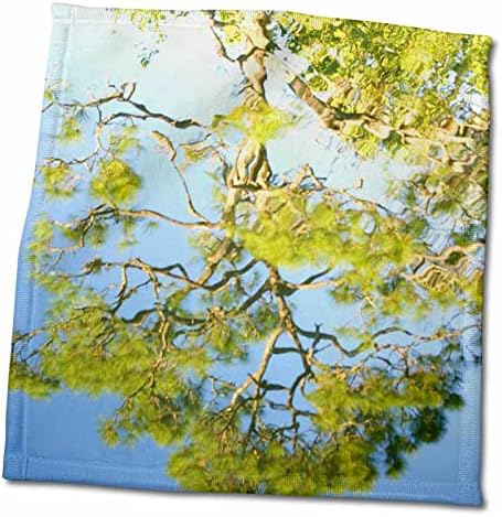 עצי פלורן 3 אתרים - השתקפויות עצים - מגבות